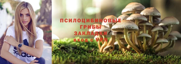 герыч Алзамай