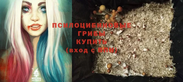 амфетамин Алексеевка