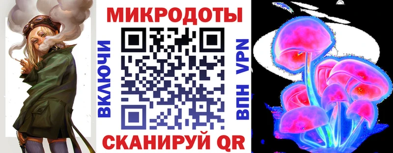 Псилоцибиновые грибы Psilocybine cubensis  Геленджик 