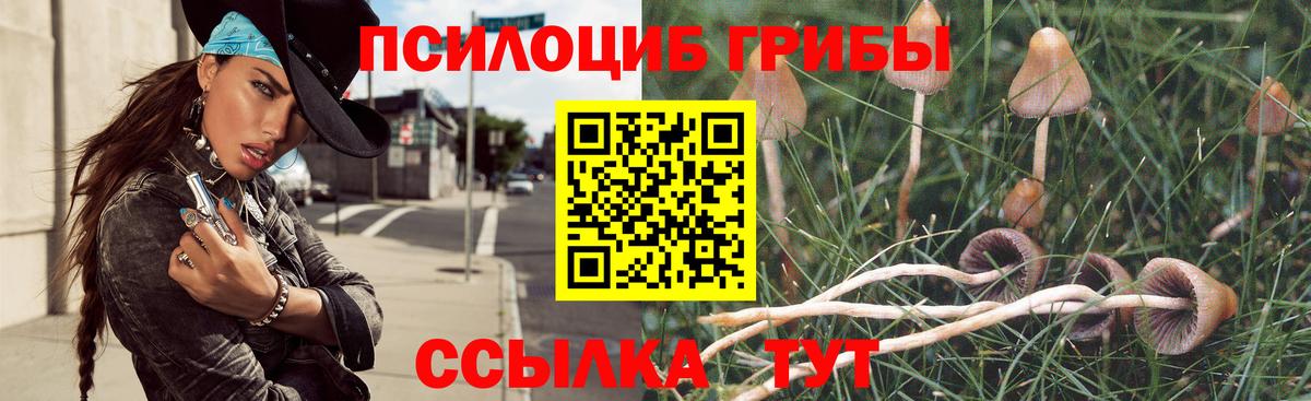 Псилоцибиновые грибы прущие грибы  Вход с VPN  Геленджик 