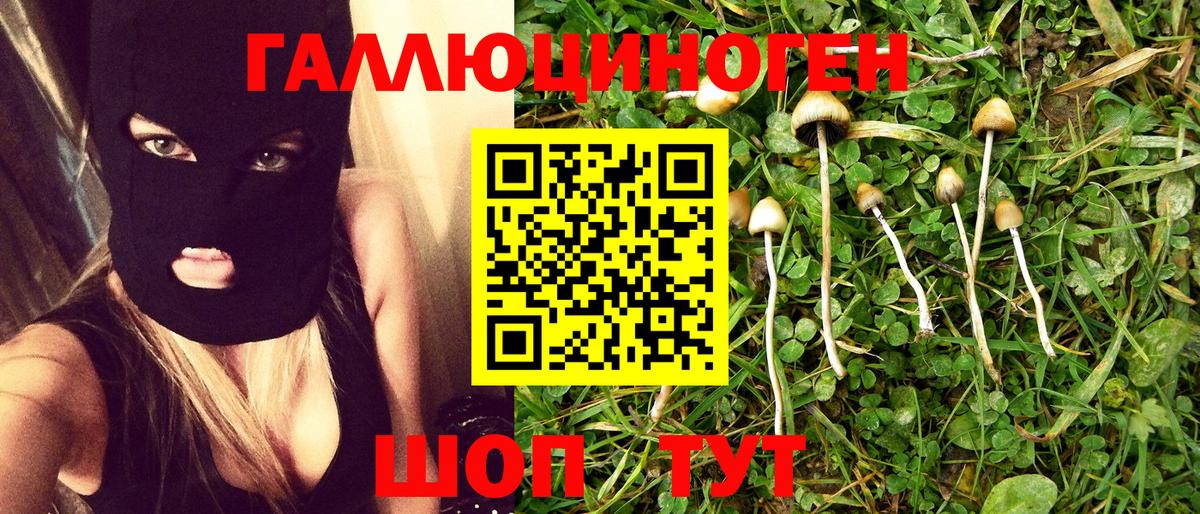 Галлюциногенные грибы MAGIC MUSHROOMS Геленджик